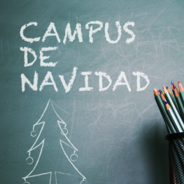 Campus de navidad en System Formación