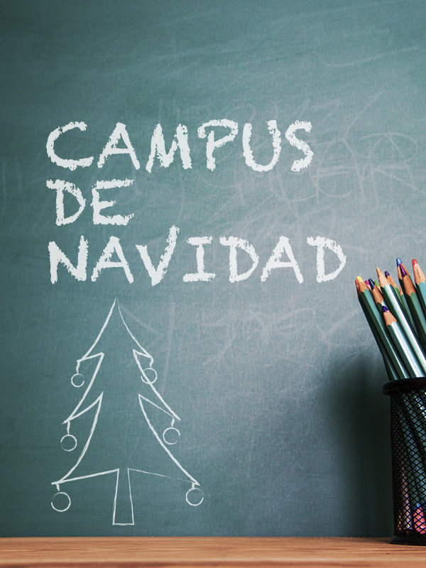 Campus de navidad en System Formación