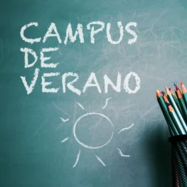 Campus de verano en System Formación
