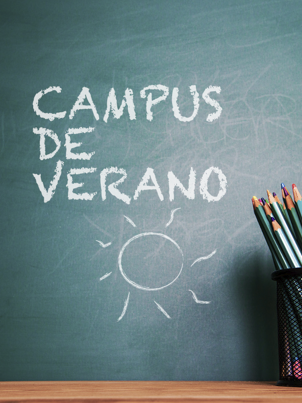 Campus de verano en System Formación