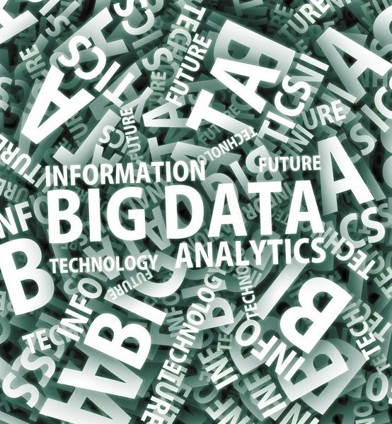 BIG DATA – IFCT0022 – 24/0274.TRA.018-01