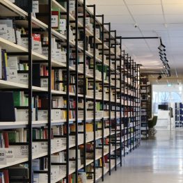 Una librería por organizar